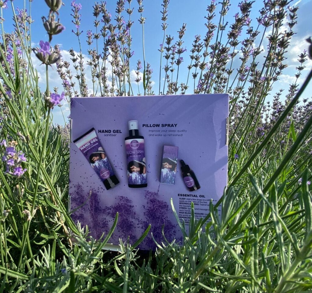 How is Lavender Oil produced? Lavender Gold in the fields