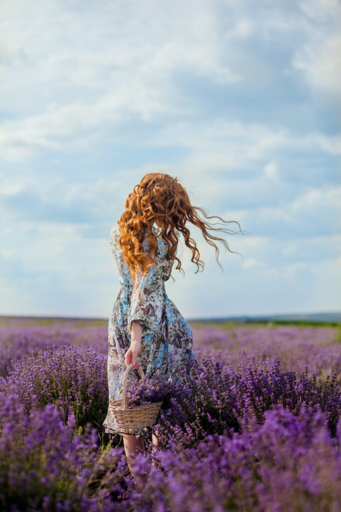 Lavender UK Lavender UK