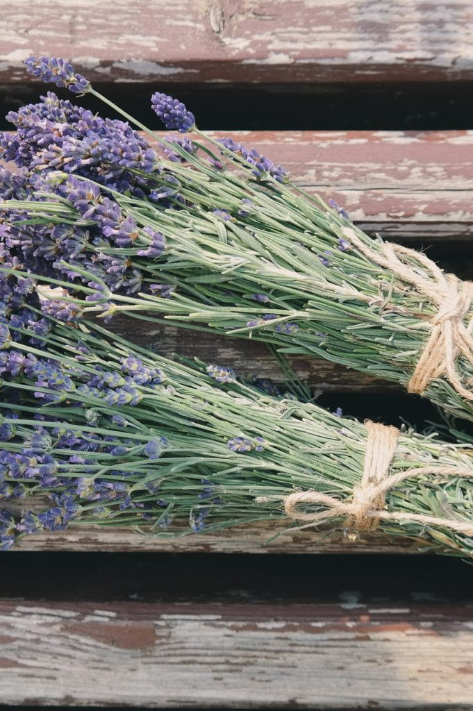 Anxiety relief with lavender oil Anxiety